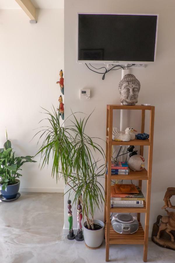 Studio South Beach With Garden And Free Parking Zandvoort Exteriér fotografie
