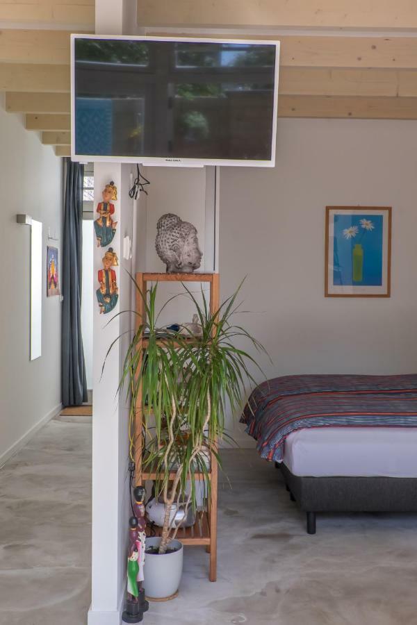Studio South Beach With Garden And Free Parking Zandvoort Exteriér fotografie